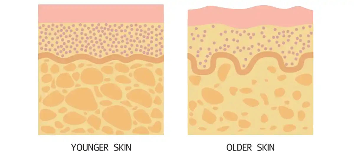 collagen Supplier.jpg